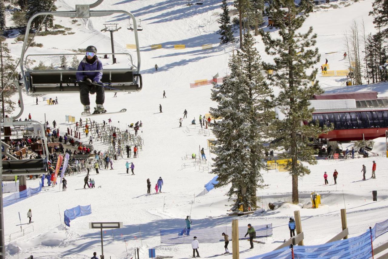 Evergreen Escape Truckee Dış mekan fotoğraf